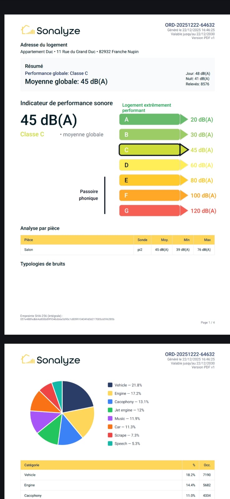 Exemple de rapport DPS